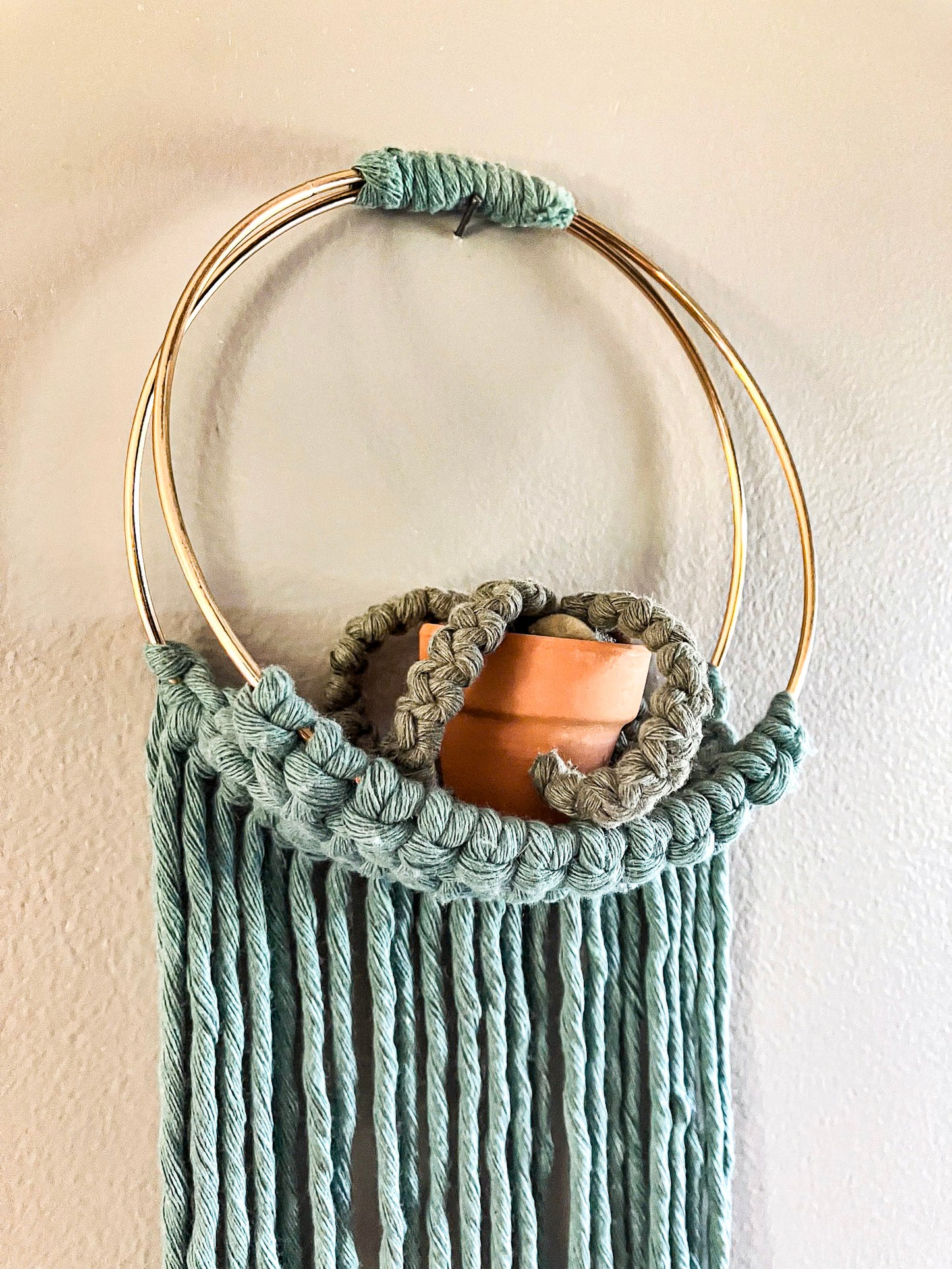 Air Plant Hanger | Two Colors Available
