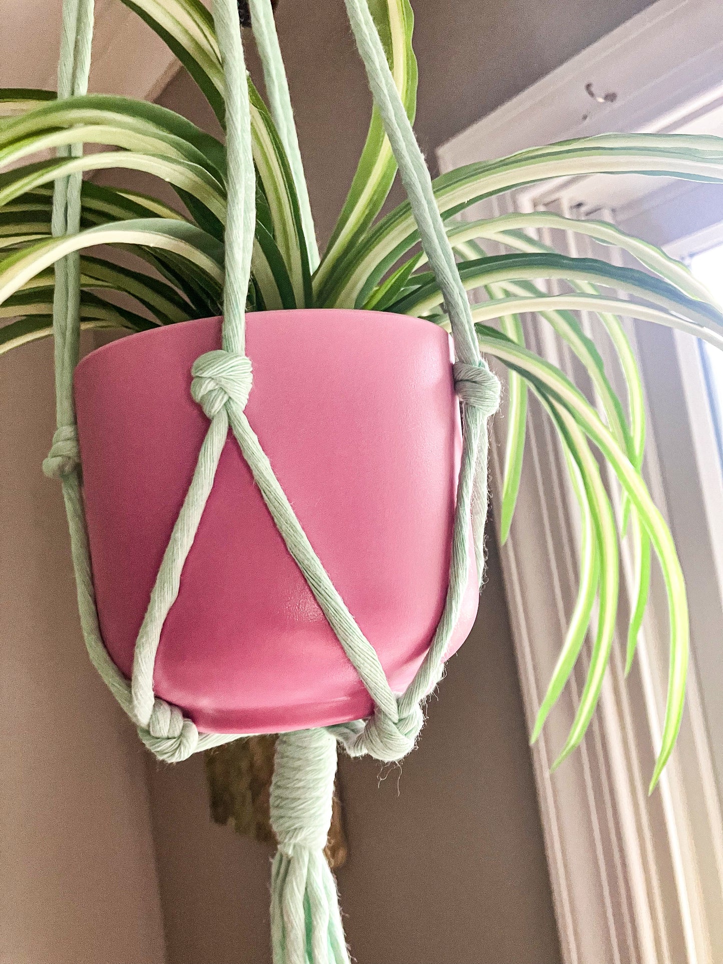 Short & Simple Macrame Plant Hanger - Shan