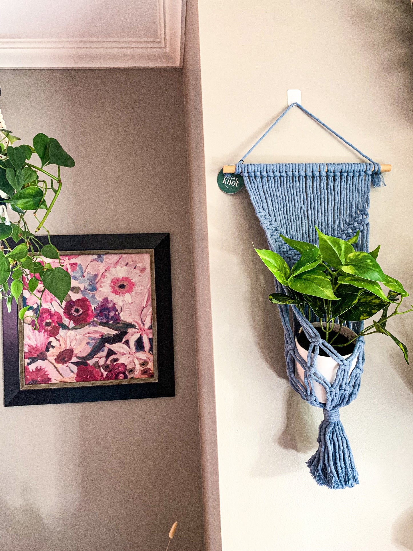Plant Hanger for Wall