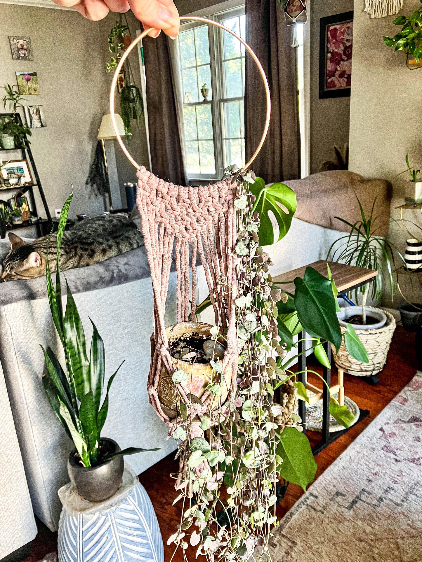Macrame Plant Hanger Class at The Meadow
