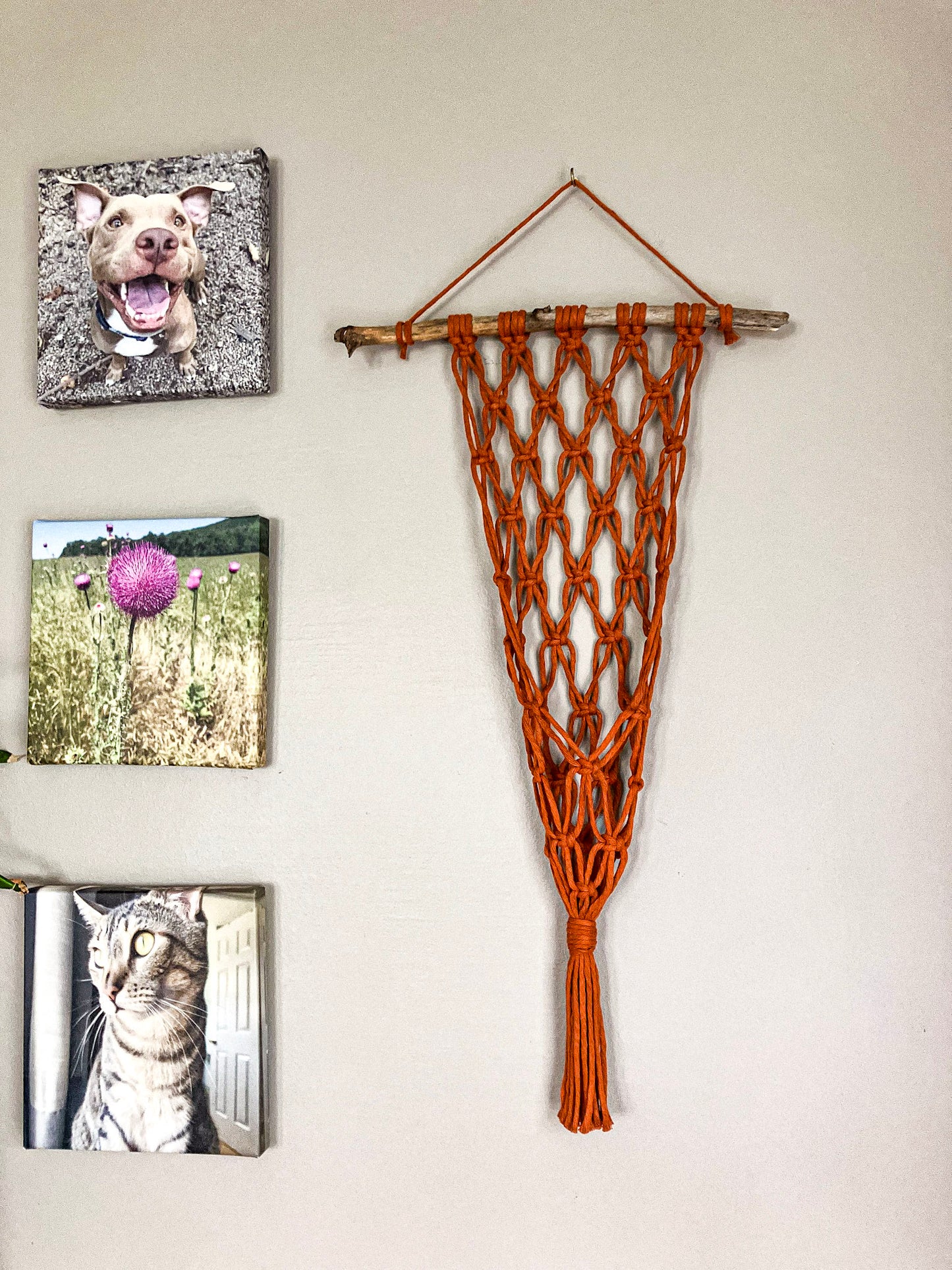 Plant Hangers for Walls