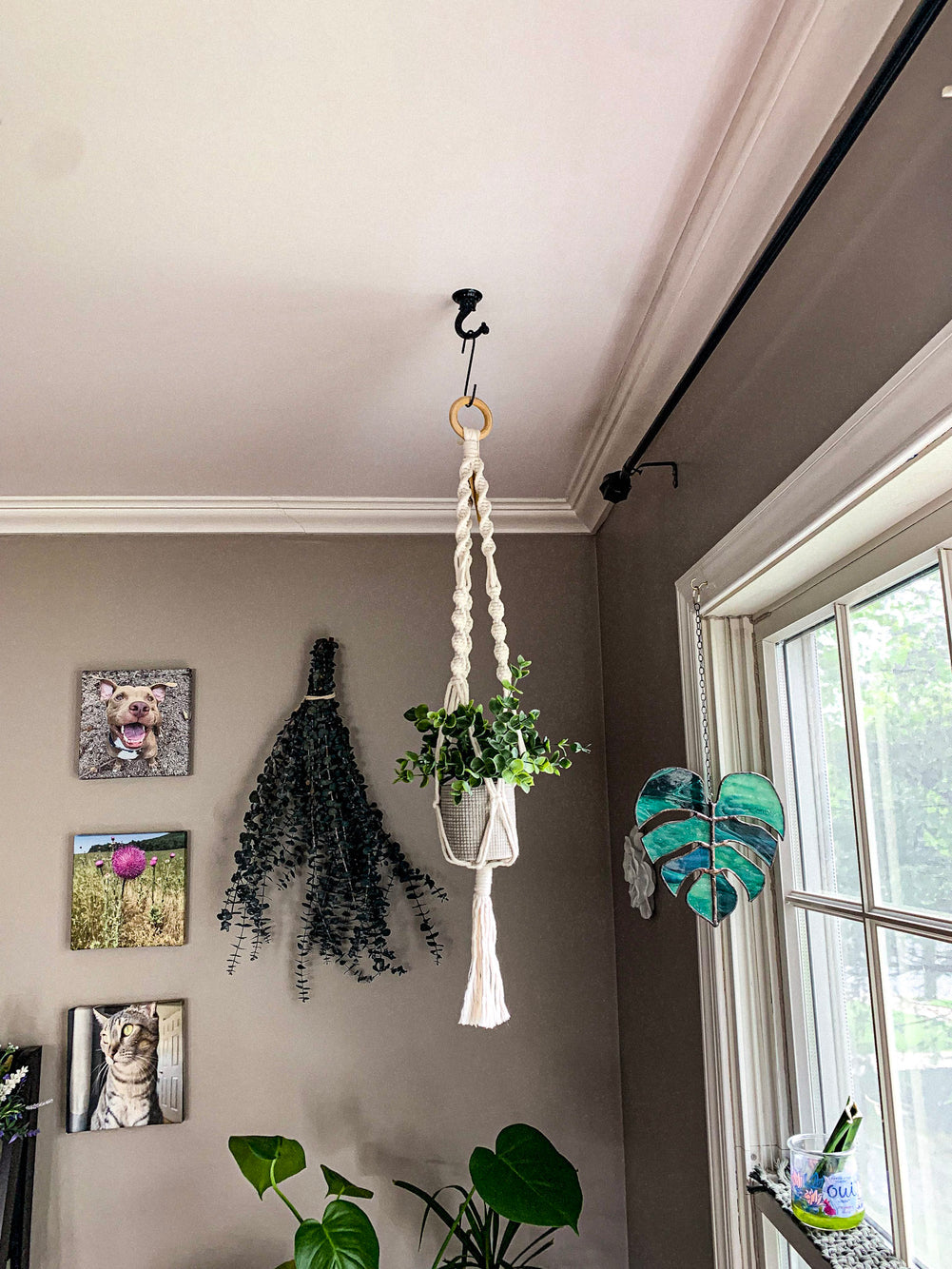 Macrame Plant Hanger DIY Kit with Pattern