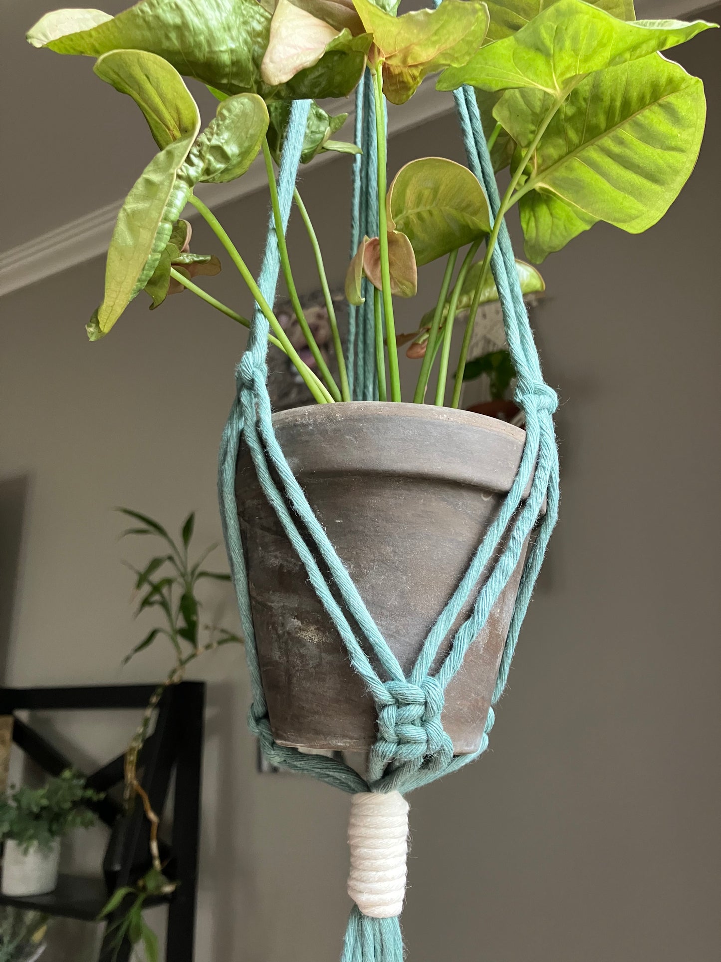 Double Plant Hanger