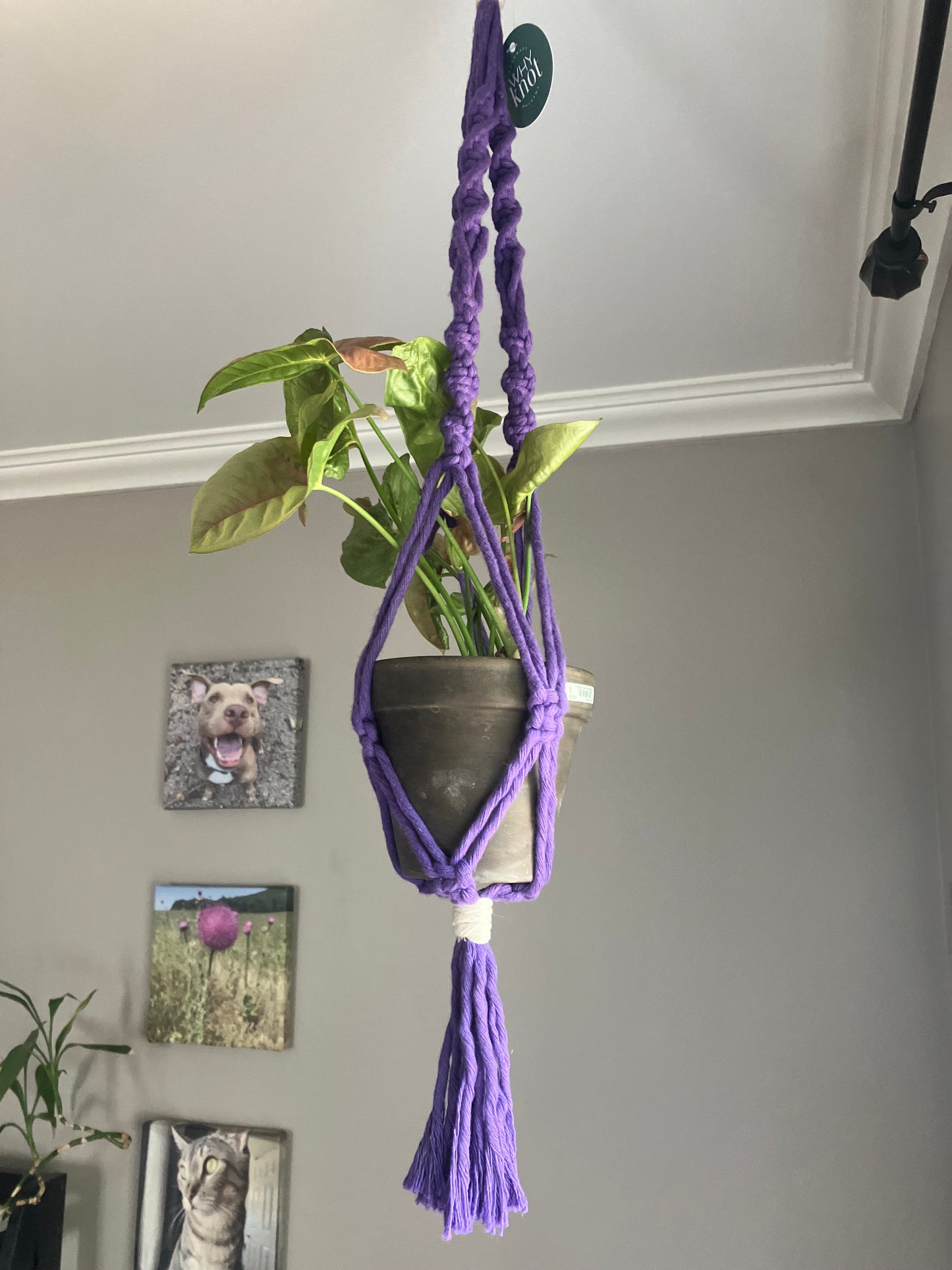 Long Macrame Plant Hanger - Mari