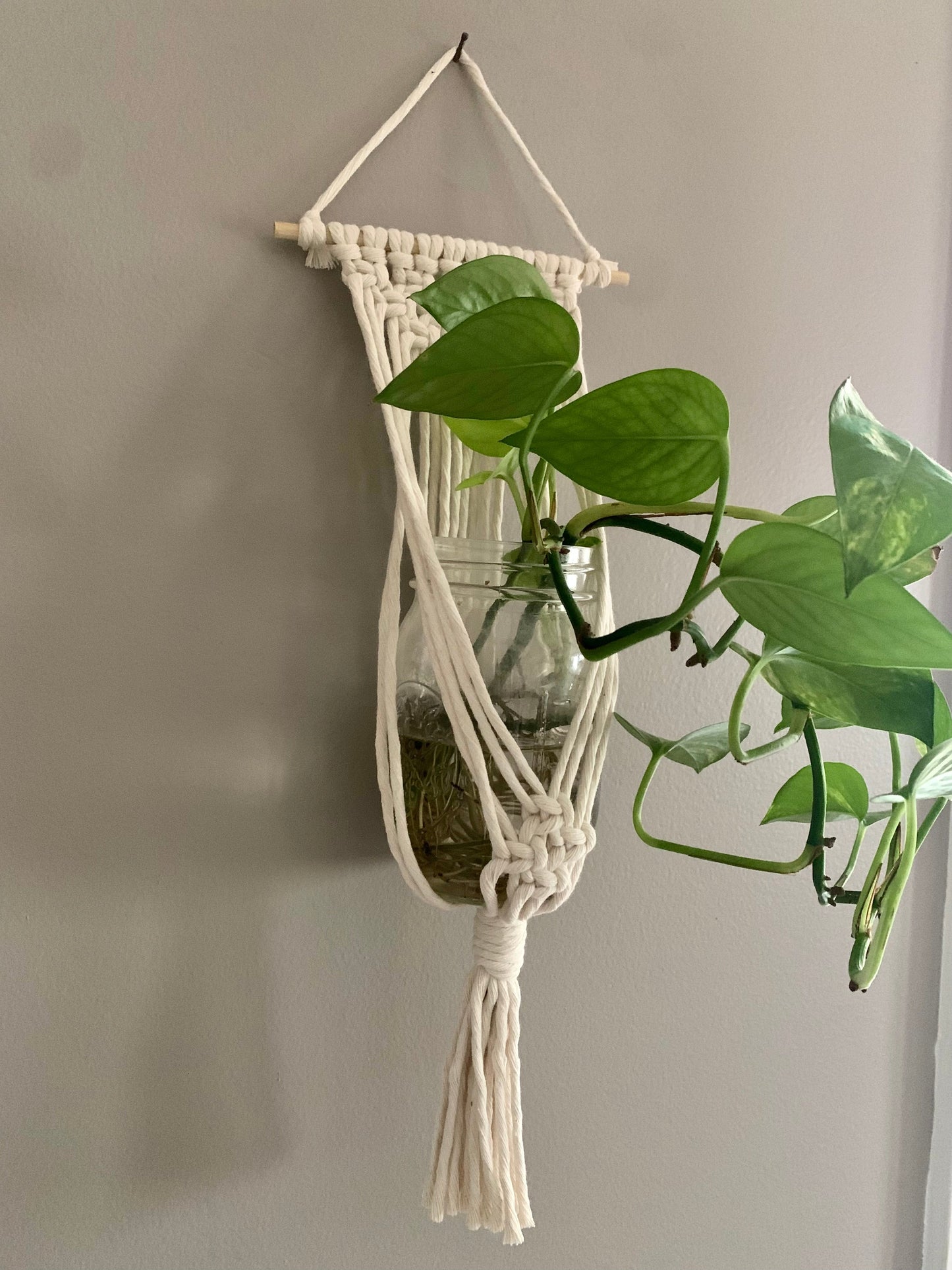 11/12 Macrame Plant Hanger Class at ZeroDay Taproom