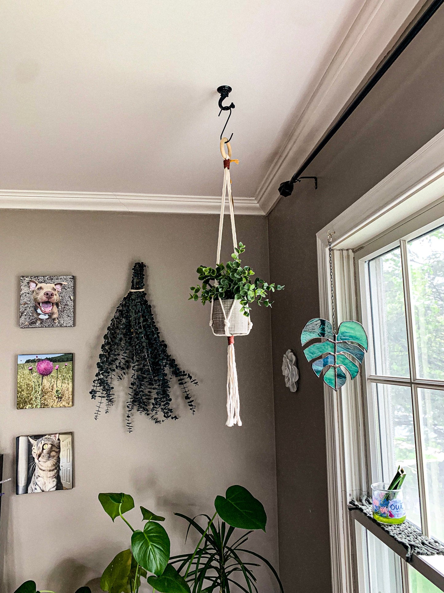 Short Macrame Plant Hanger - Pop of Color