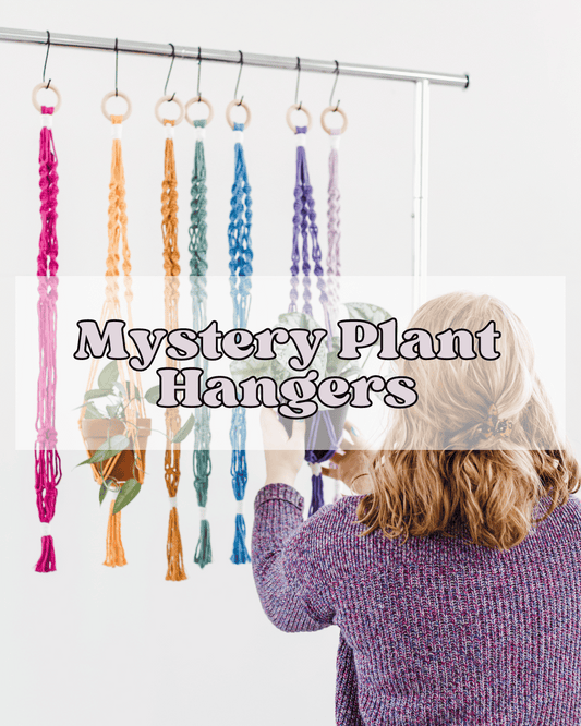 Mystery Plant Hangers