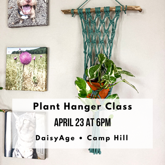 Plant Hanger Macrame Class at DaisyAge