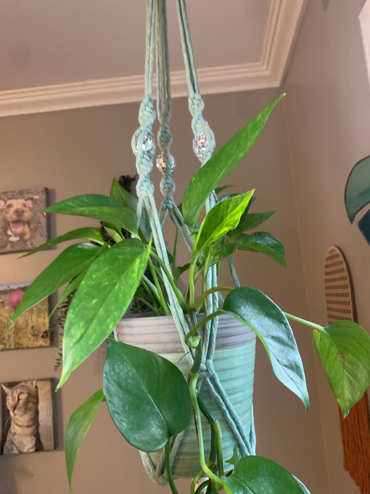 Macrame Hanging Plant Holder with Discoballs