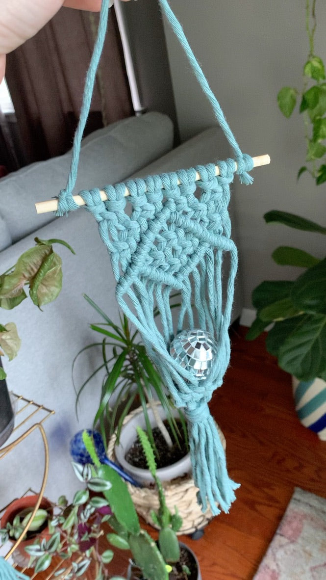 Macrame Air Plant Hanger