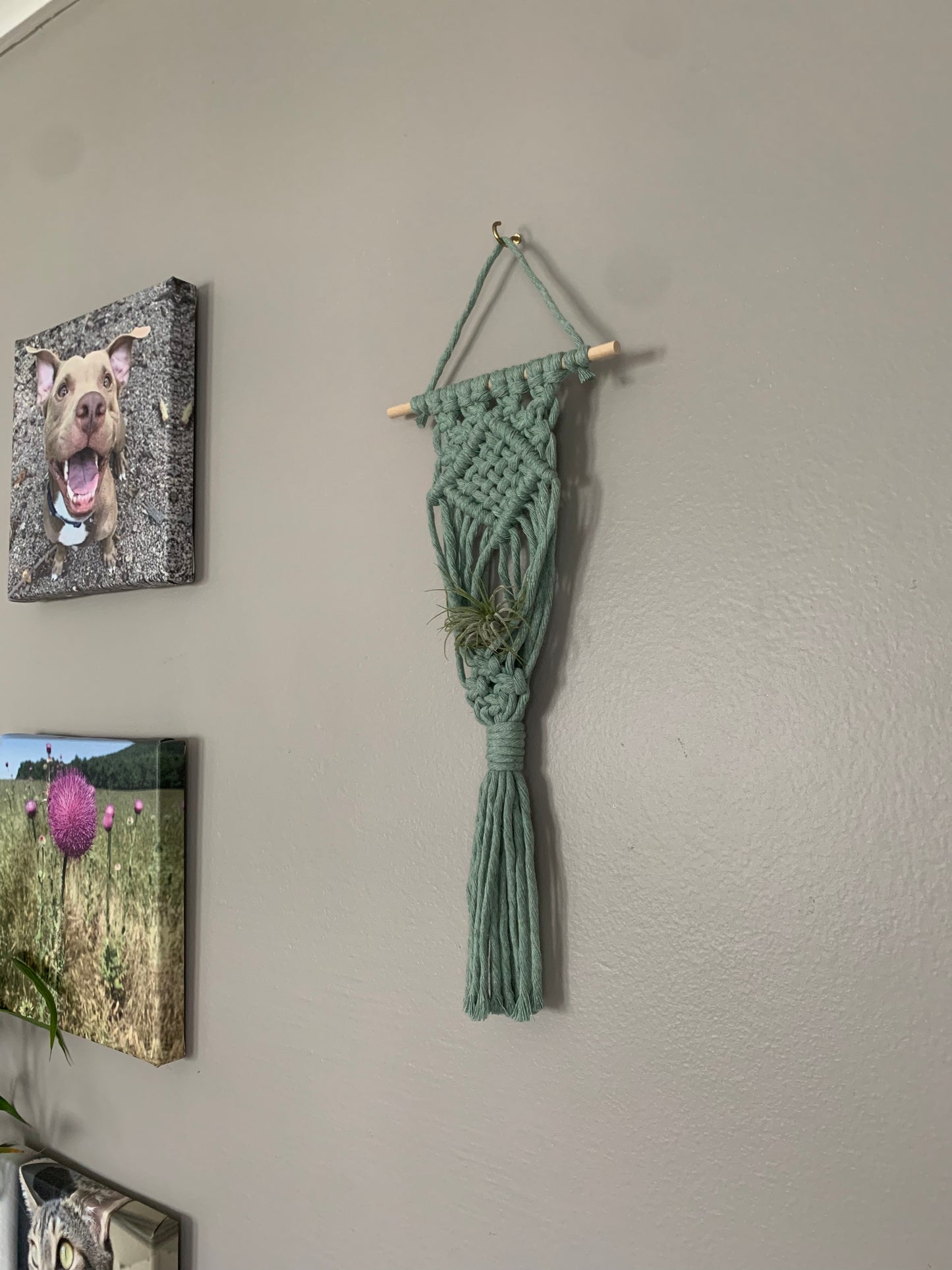 Macrame Air Plant Hanger with Weave Center