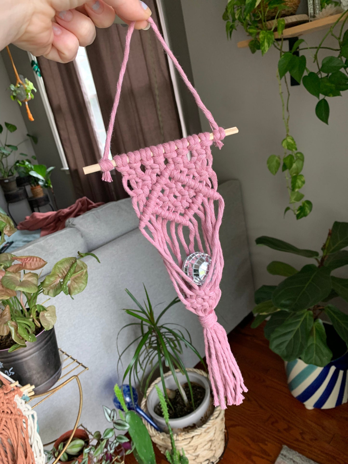 Macrame Air Plant Hanger