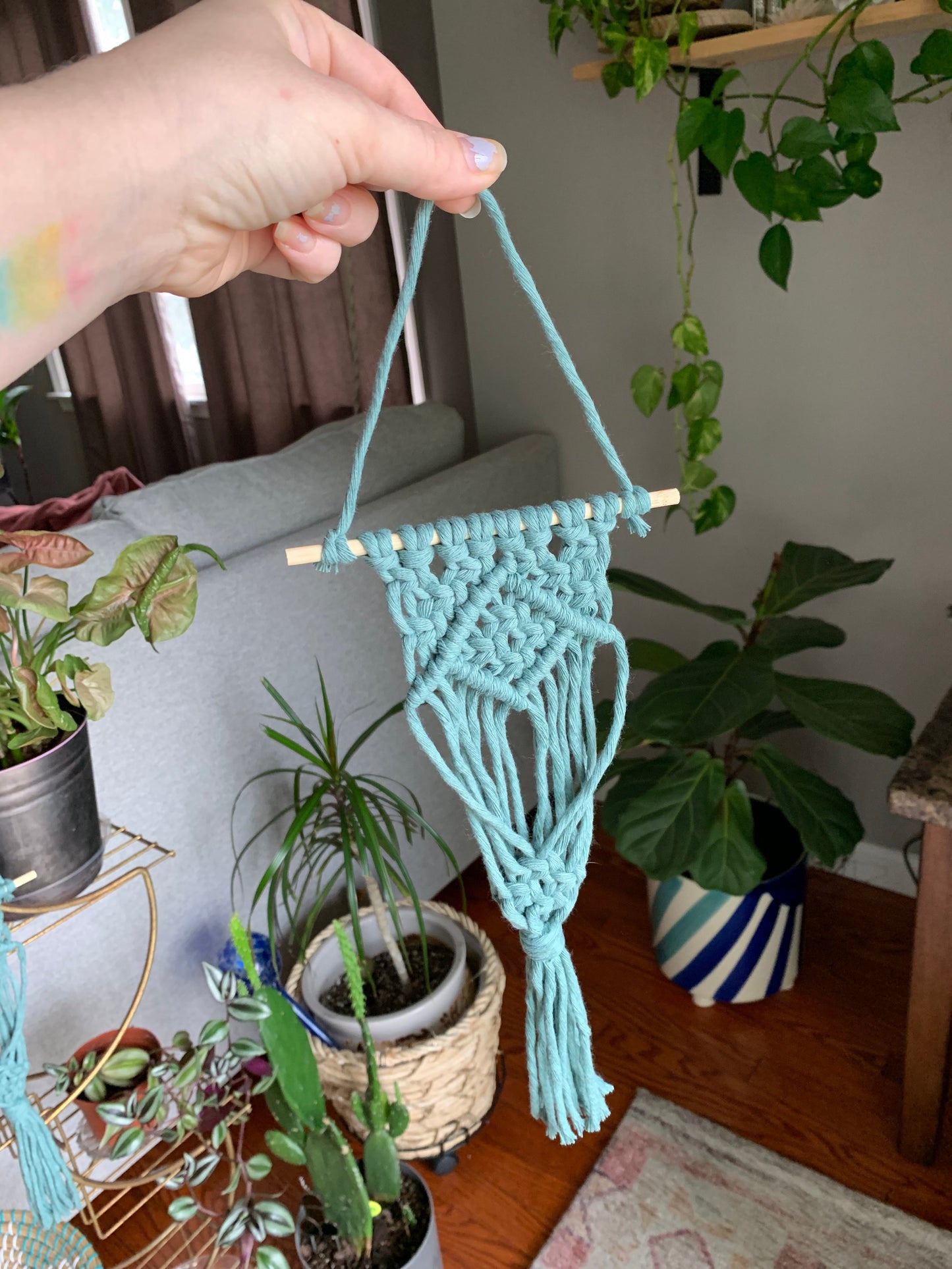 Macrame Air Plant Hanger