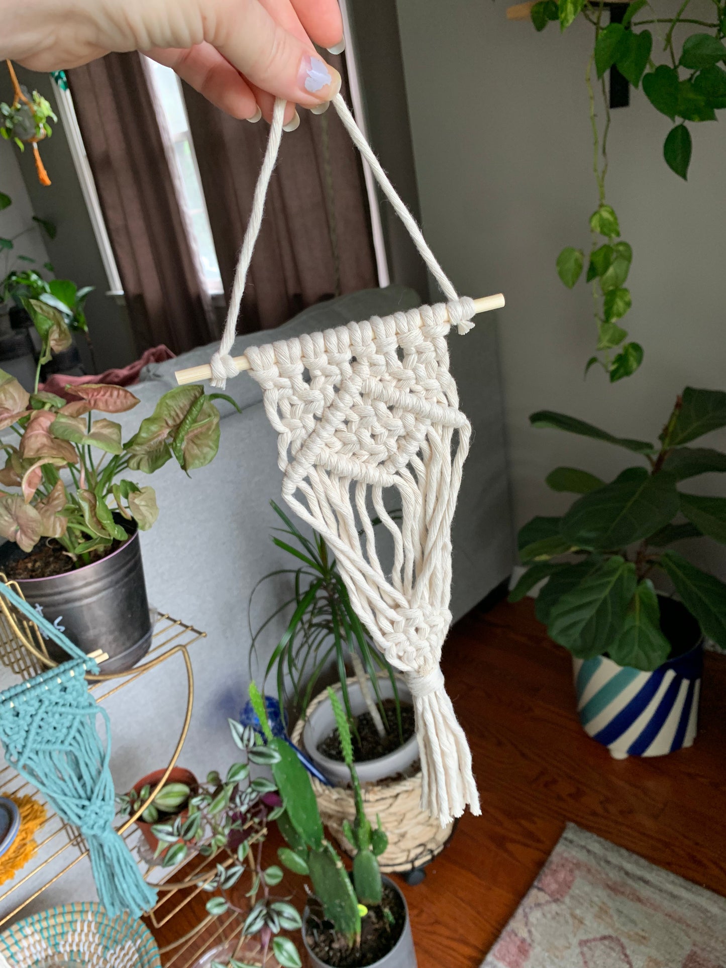 Small Macrame Air Plant Hanger with Square Knot Center