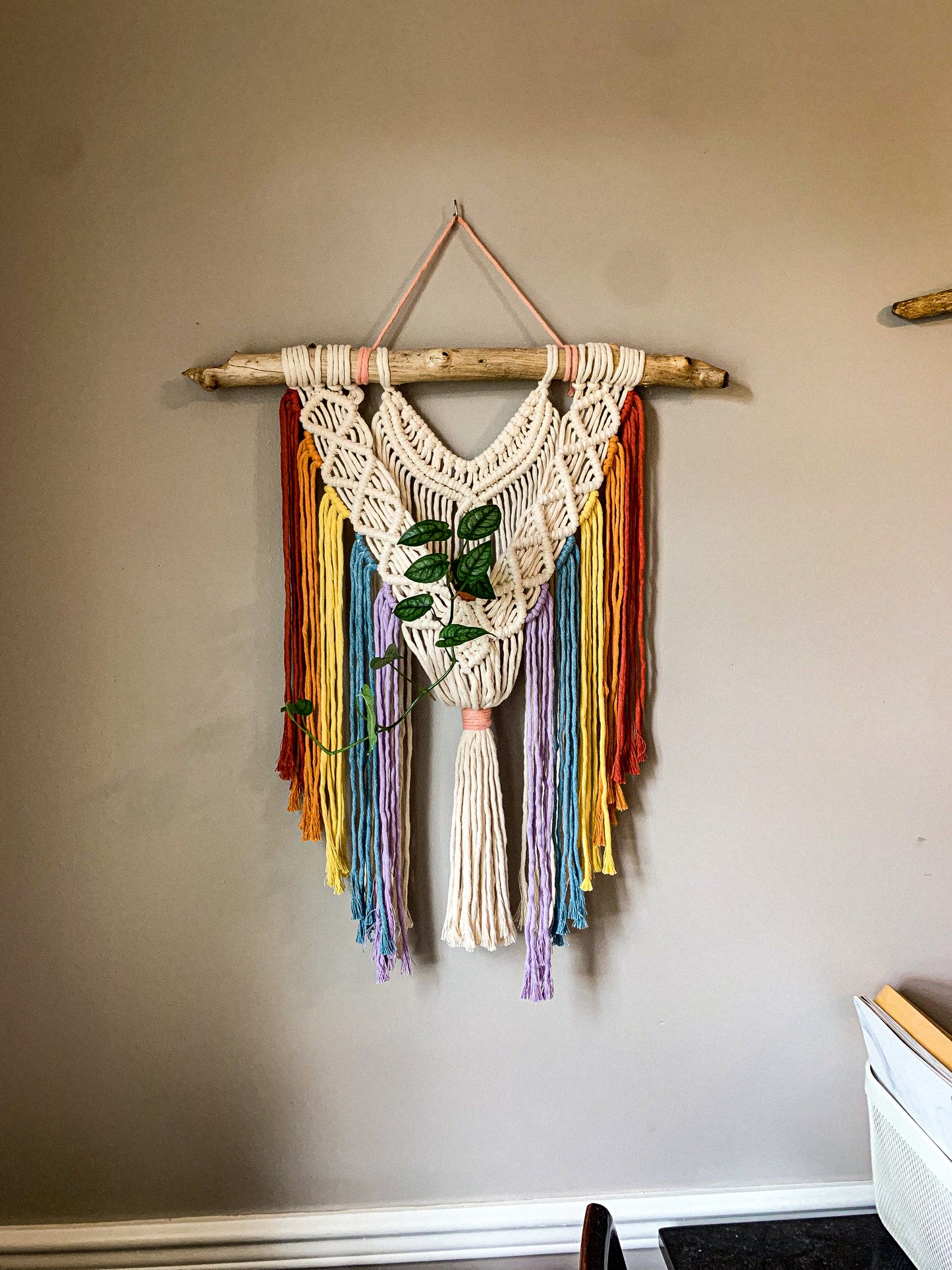 Rainbow Wall Hanging & Plant Hanger
