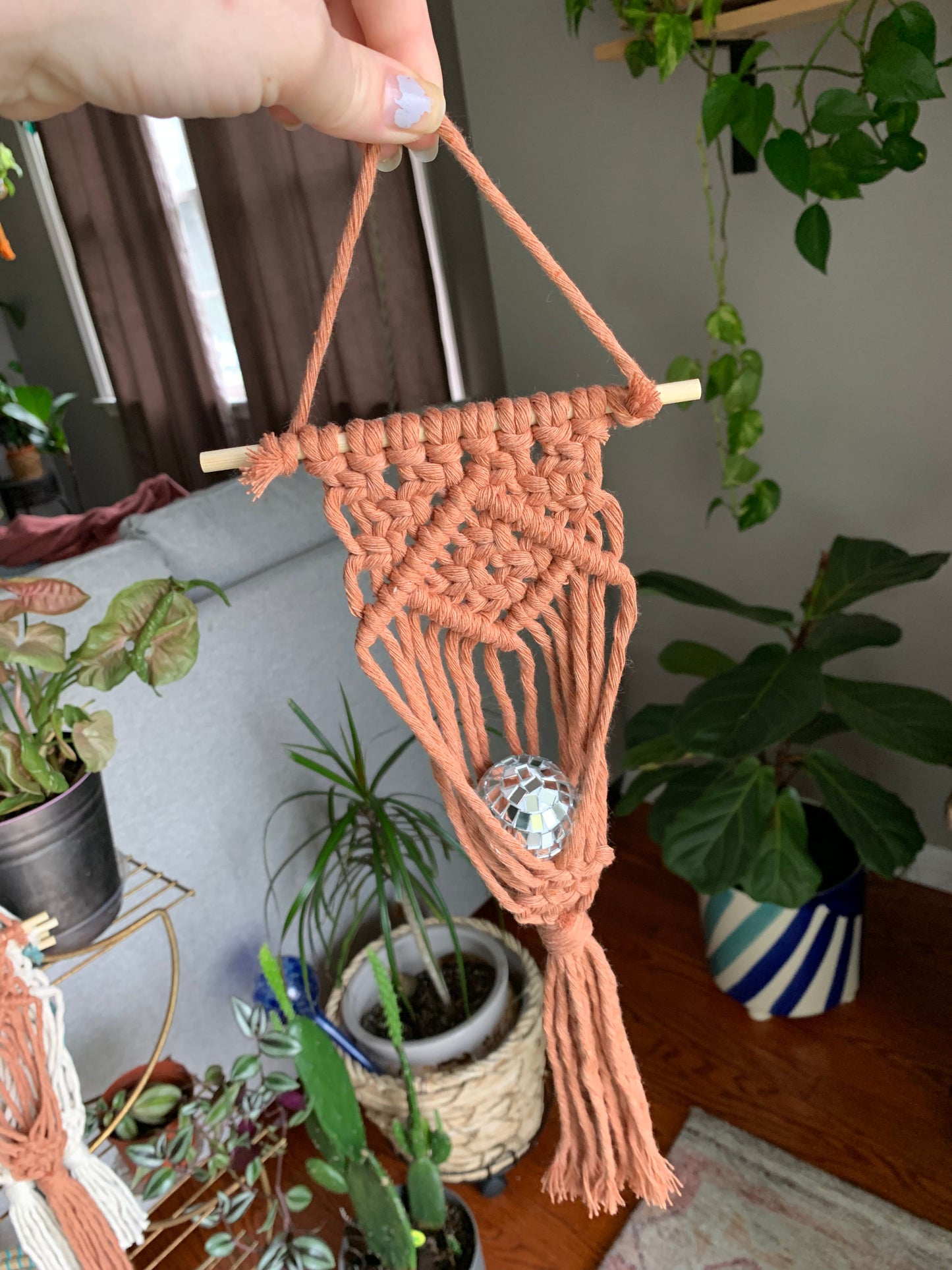 Macrame Air Plant Hanger