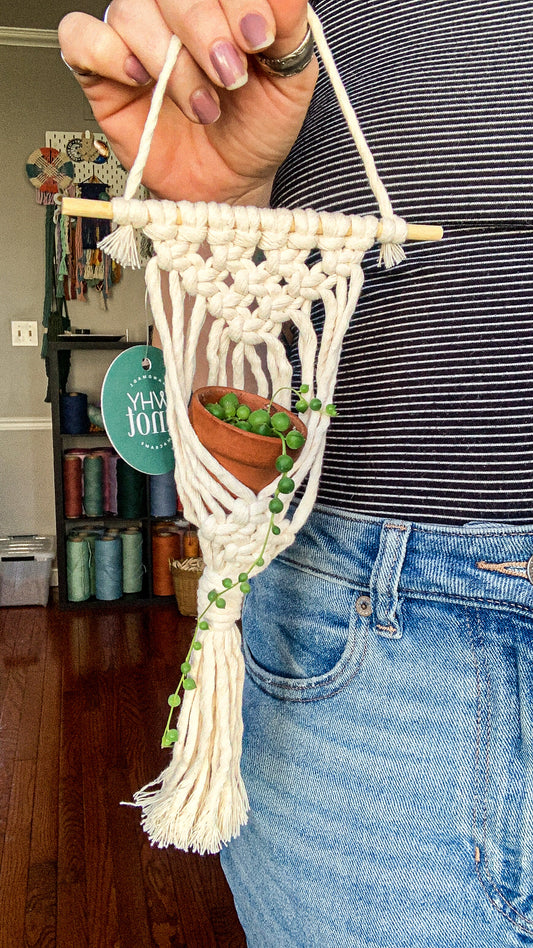 Plant Hanger for Air Plants and Tiny Pots