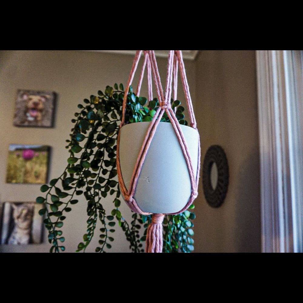 Large Macrame Plant Hanger - Mari